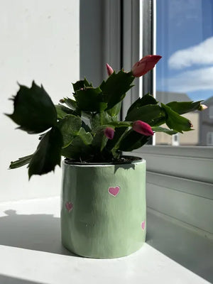 Review image by Beckie F.