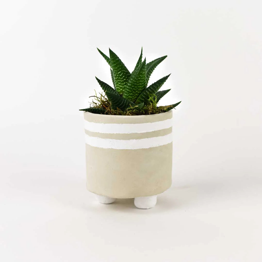 Sculpd team events pick your pot option - Footed plant pot