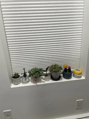 Review image by Sky T.