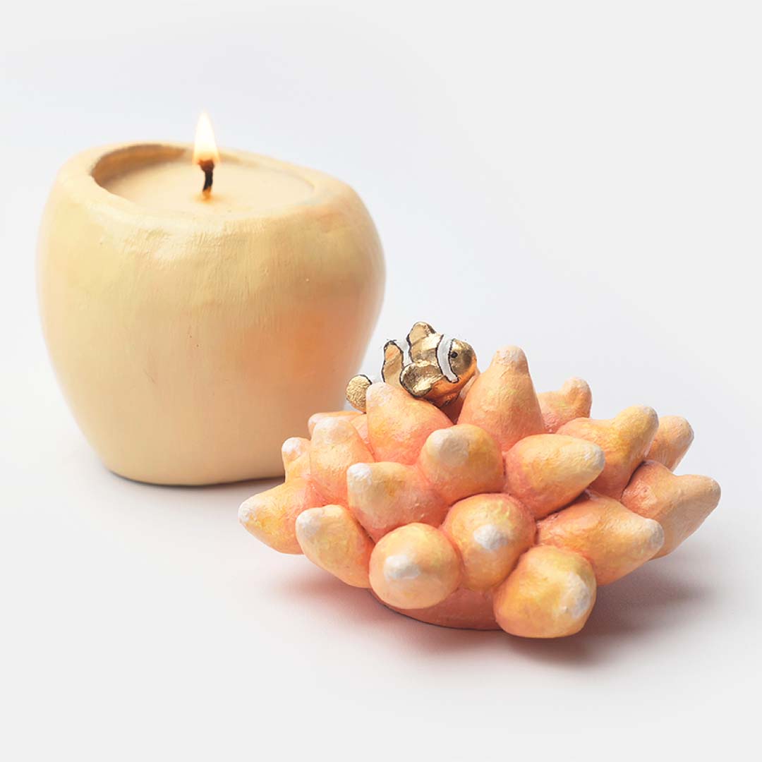 Symbiosis nemo candle