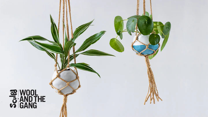 Hanging plants in handcrafted planters made with Sculpd Pottery Kit