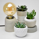 Filament Lamp Kit - Image 3